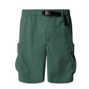 The North Face Men's Cargo Pocket Shorts Duck Green