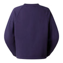 The North Face Women's TNF Red Box Crew Sweatshirt - Eternal Purple - Ministry Of Concrete