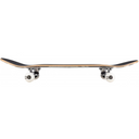 Birdhouse Stage 1 Hawk Falcon III Complete Skateboard Black 7.75"