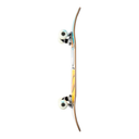 Skateboard with a colorful design on a white background
