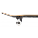 Close-up of a skateboard with a white wheel on a white background