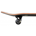 Close-up of a skateboard with a visible wheel on a white background