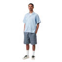 Man wearing a light blue shirt and plaid shorts on a white background