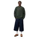 Carhartt WIP Sweat - Dark Scarab/Palisander