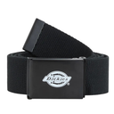 Black web belt with a Dickies logo buckle on a white background