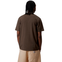 Carhartt WIP S/S Script Tee Liberica Air Sky