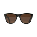 Black sunglasses with brown lenses on a white background