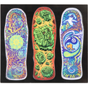 Santa Cruz Winkowski Magnet Set Multi