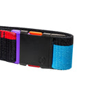 Dog collar with black buckle and colorful straps on a white background