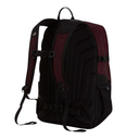 A black and burgundy mesh backpack shown from the back, featuring padded shoulder straps, compression buckles, and a top carry handle, photographed against a plain white background.