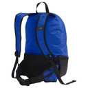 A blue and black backpack shown from the back on a clean white background, featuring padded shoulder straps, a top carry handle, a mesh side pocket, and a small black brand patch.
