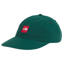 The North Face TNF Red Box Nylon Hat Hunter Green