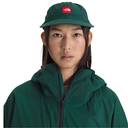 The North Face TNF Red Box Nylon Hat Hunter Green