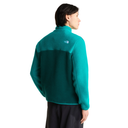 A model shown from the back wearing a color-block fleece pullover by The North Face. The garment features a teal green upper yoke and shoulders, transitioning to a darker forest green lower body and sleeves.