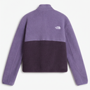 The back view of a fleece pullover jacket by The North Face, featuring a colorblock design with a light purple upper section and sleeves, and a dark purple lower section. The brand logo is visible on the upper left back.