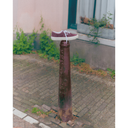 Maroon sneaker on a rusty metal post with a building and plants in the background