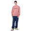 Carhartt WIP Sweat Dusty Rose Sycamore Tree