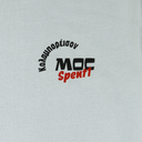 Text on a light gray background