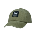 Green cap with a logo on a white background