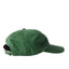 Parra Duck Attack 6 Panel Hat Green