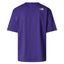 The North Face Axys Tee Purple