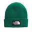 The North Face Logo Box Short Cuffed Beanie Evergreen