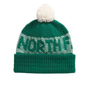 The North Face Retro Cabin Beanie Evergreen White Dune